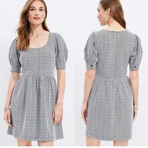 Loft Textured Scoop Neck Swing Dress